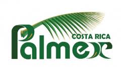 Palmex logo | Costa Pacifica LIVING