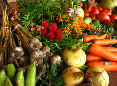 HELPCA Produce and Artisanal Goods | Costa Pacifica LIVING