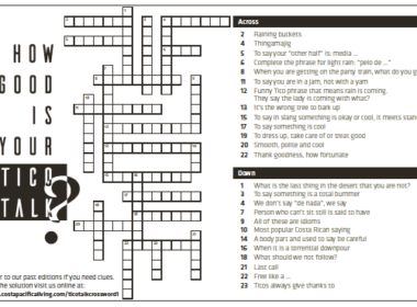 crossword puzzle for tico